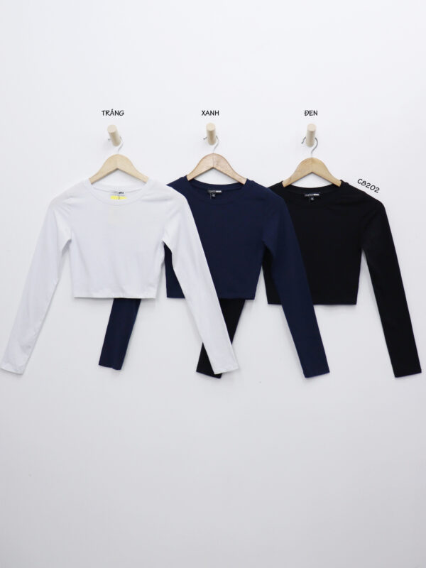 Áo thun croptop Fashion cổ tròn tay dài trơn