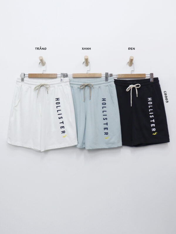C8963 - Quần short thun nam Hollister 2 túi, thêu chữ